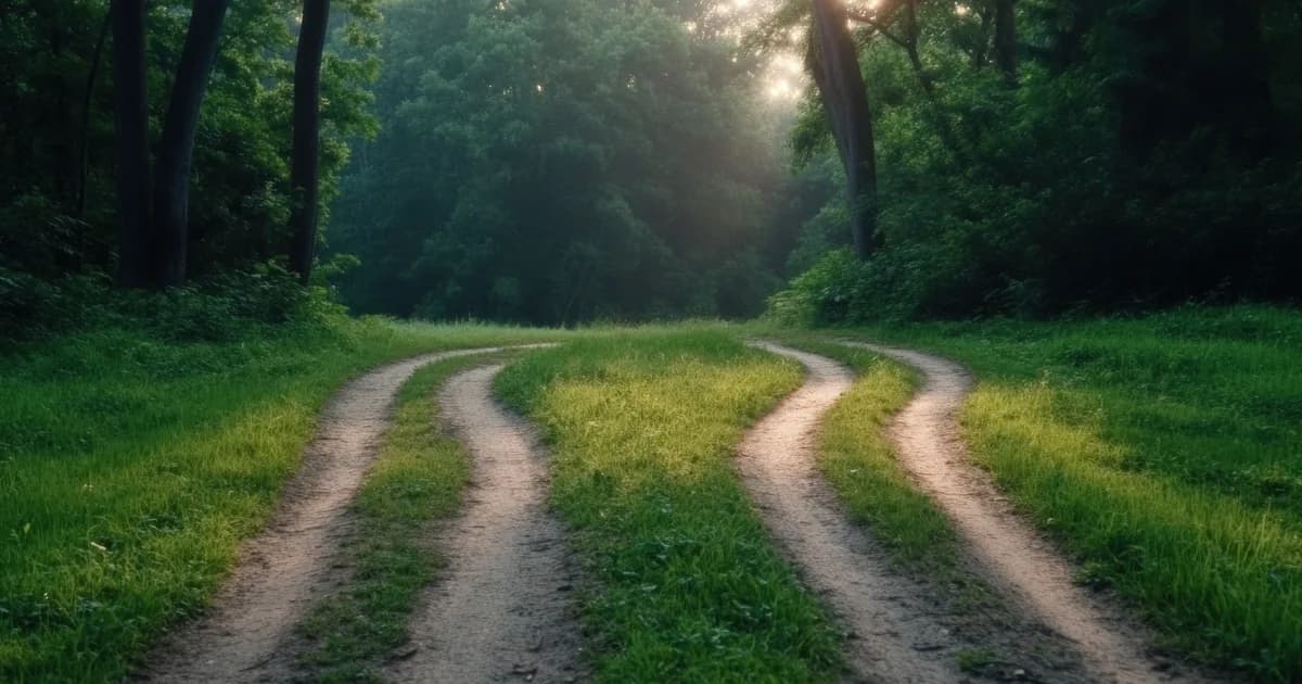 A dirt road in a green forest that splits into two paths, for choosing between Joplin and Obsidian.